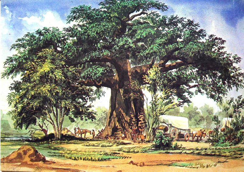 Thomas Baines Baobab Tree Germany oil painting art